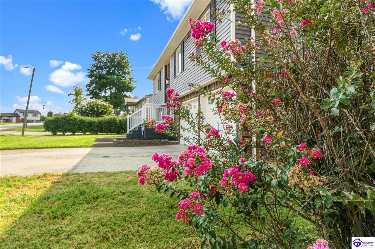 1772 Holly Court Property Photo 15
