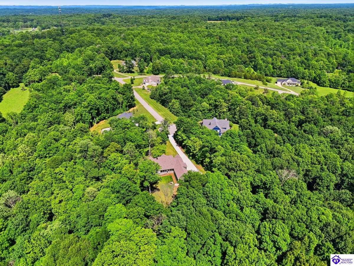 130 Big Blue Court Property Photo 53