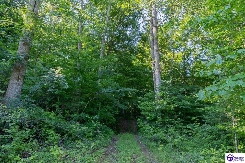 Lot 4 Perkins Lane Property Photo 3