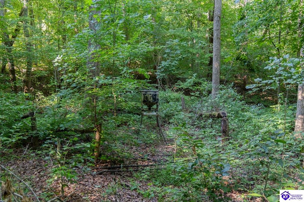 Lot 4 Perkins Lane Property Photo 5
