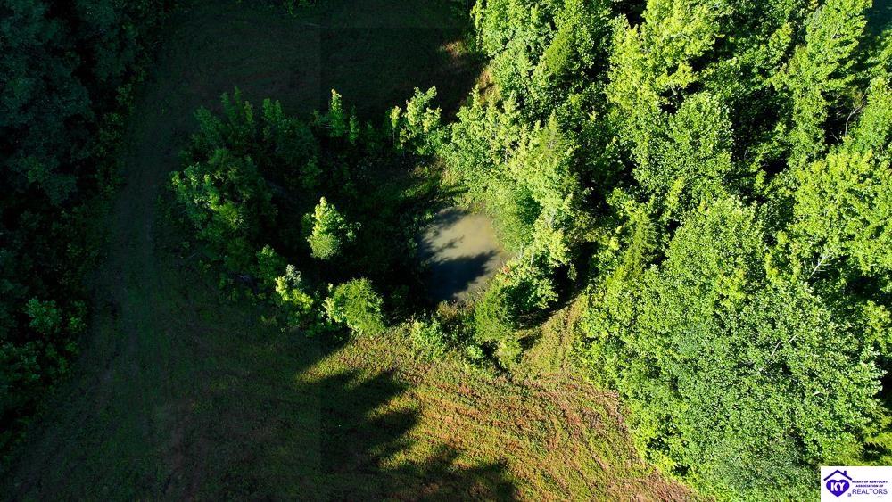 Lot 3 Perkins Lane Property Photo 3