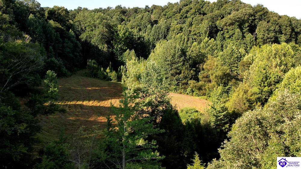 Lot 3 Perkins Lane Property Photo 4