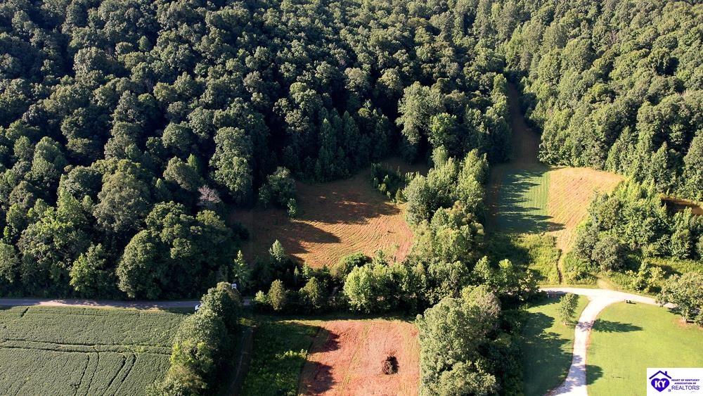Lot 3 Perkins Lane Property Photo 6
