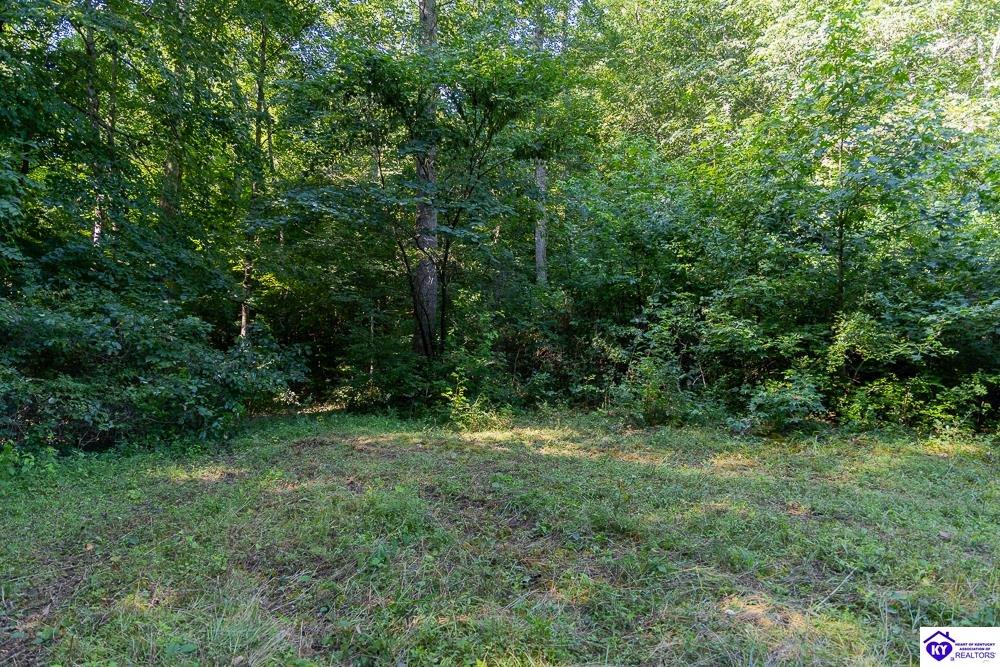 Lot 3 Perkins Lane Property Photo 10