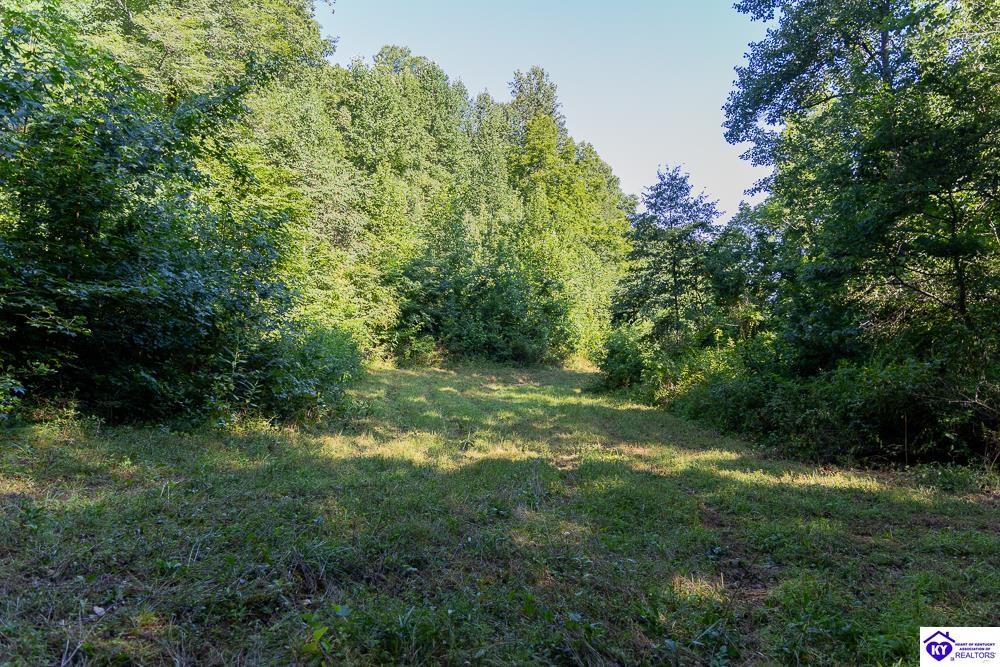 Lot 3 Perkins Lane Property Photo 11