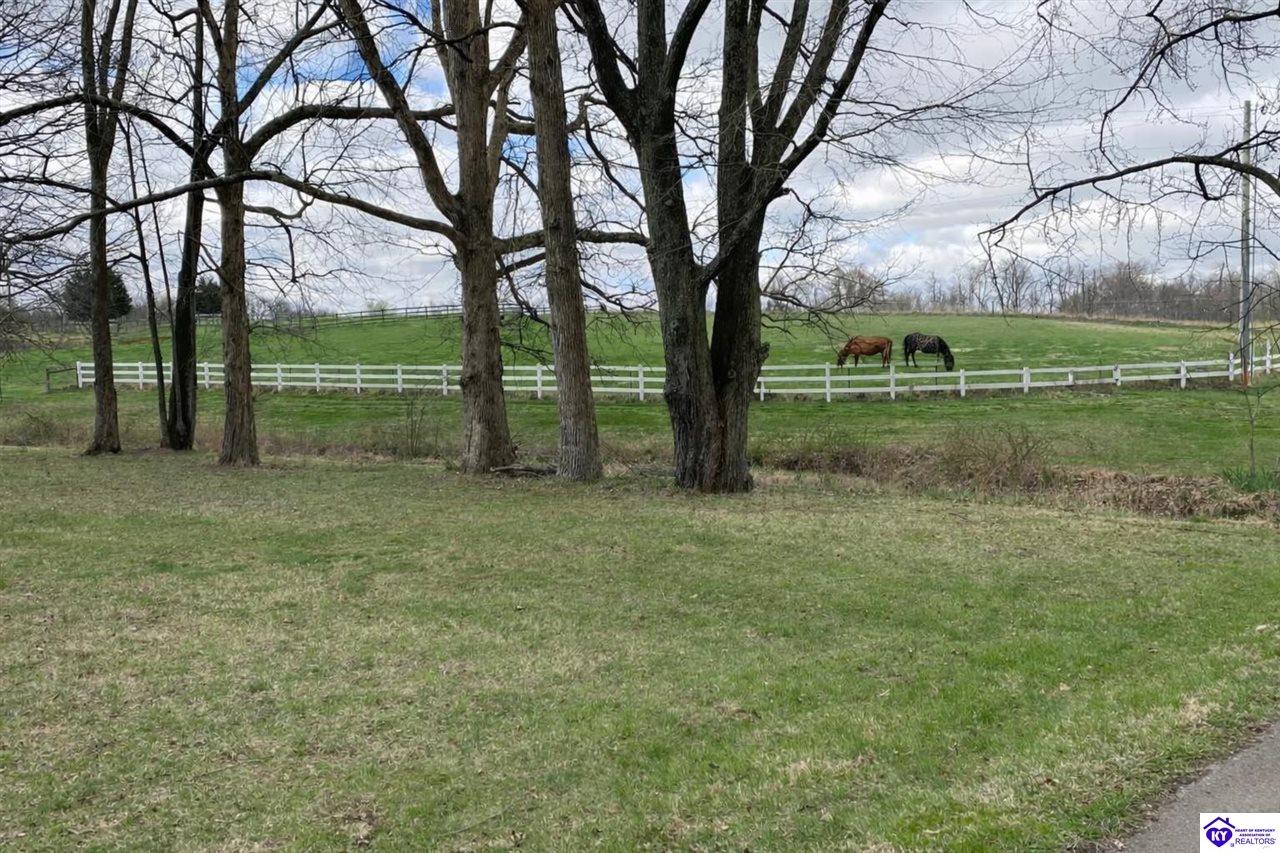 1828 Deckard School Road Property Photo 2