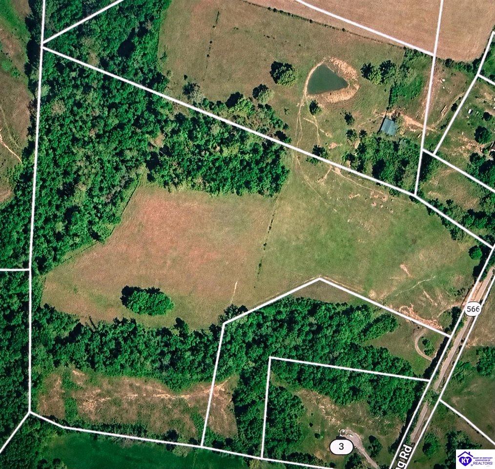 29.47 Acres Gumm Springs Rd Property Photo 2