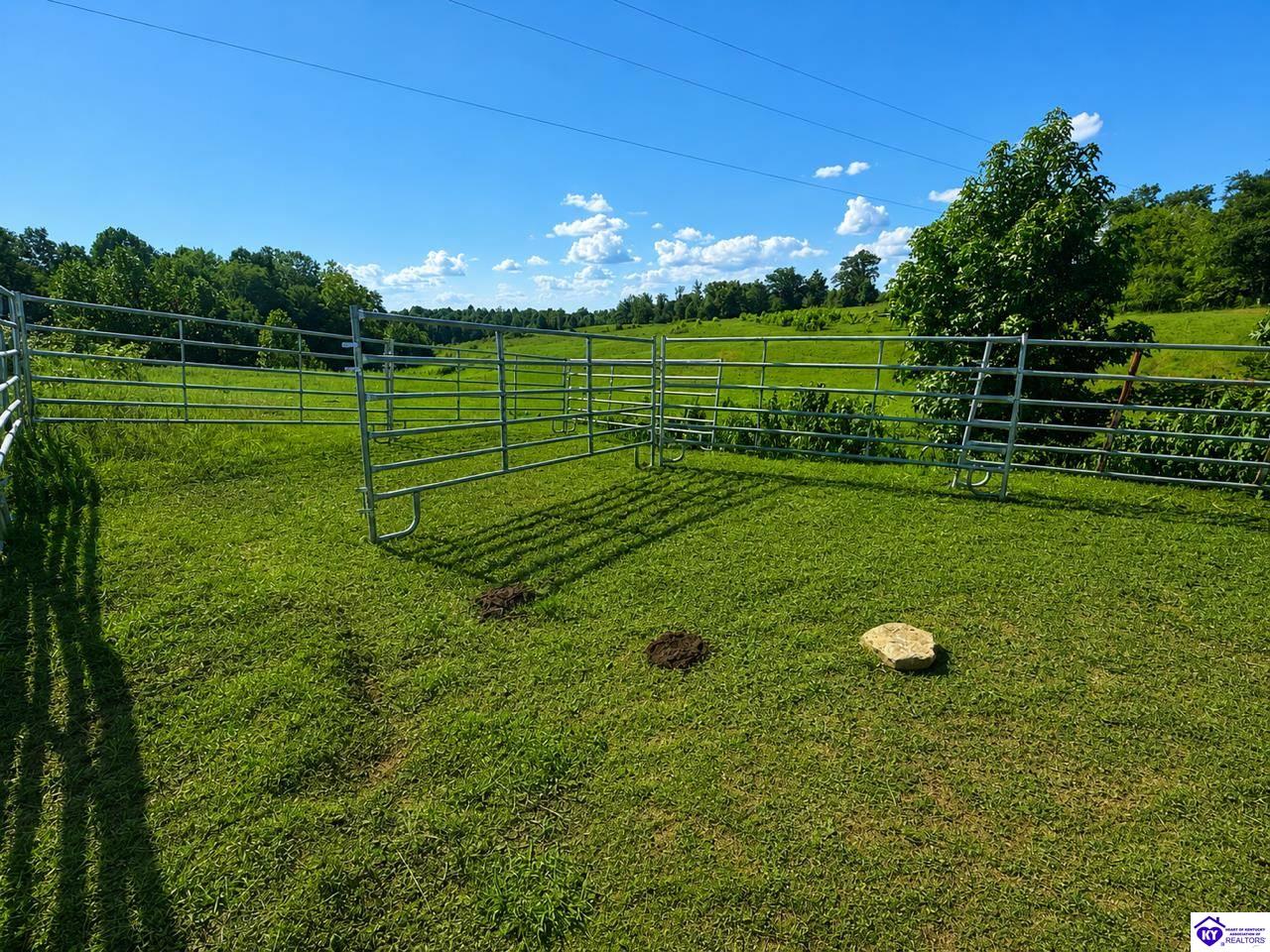 29.47 Acres Gumm Springs Rd Property Photo 3
