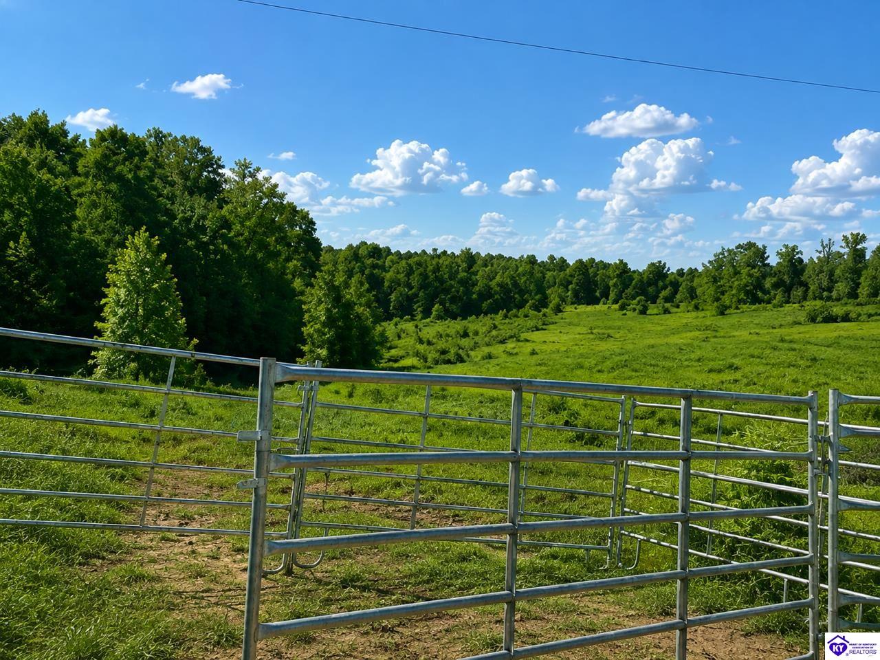 29.47 Acres Gumm Springs Rd Property Photo 6