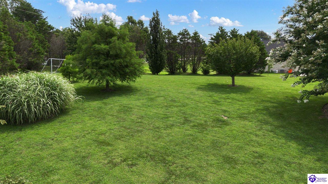 101 Damson Trail Property Photo 58