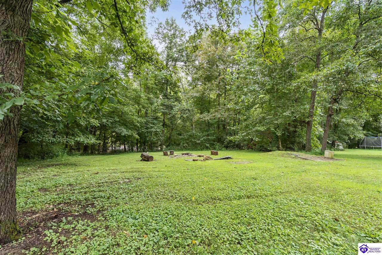 368 Adkins Camp Loop Property Photo 14