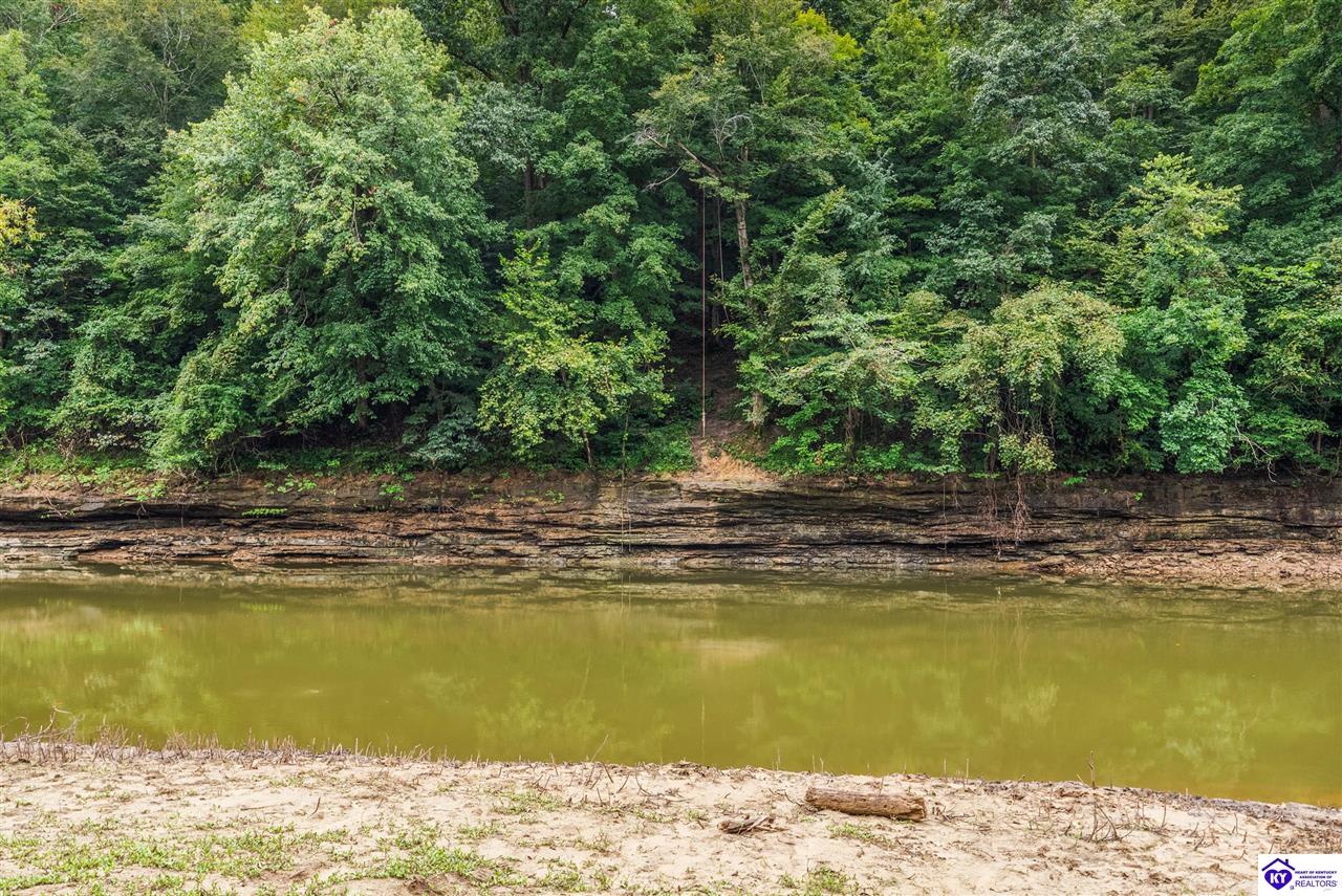368 Adkins Camp Loop Property Photo 15