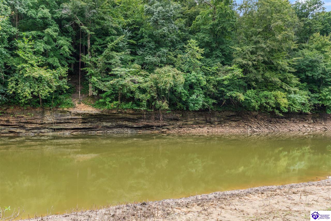 368 Adkins Camp Loop Property Photo 16