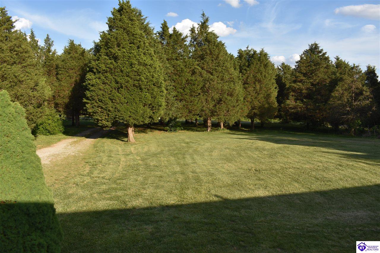 398 Guy Court Property Photo 26