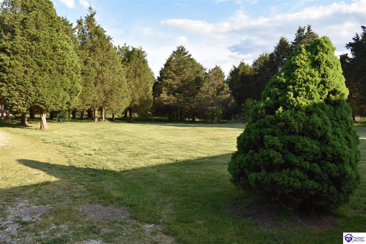 398 Guy Court Property Photo 27