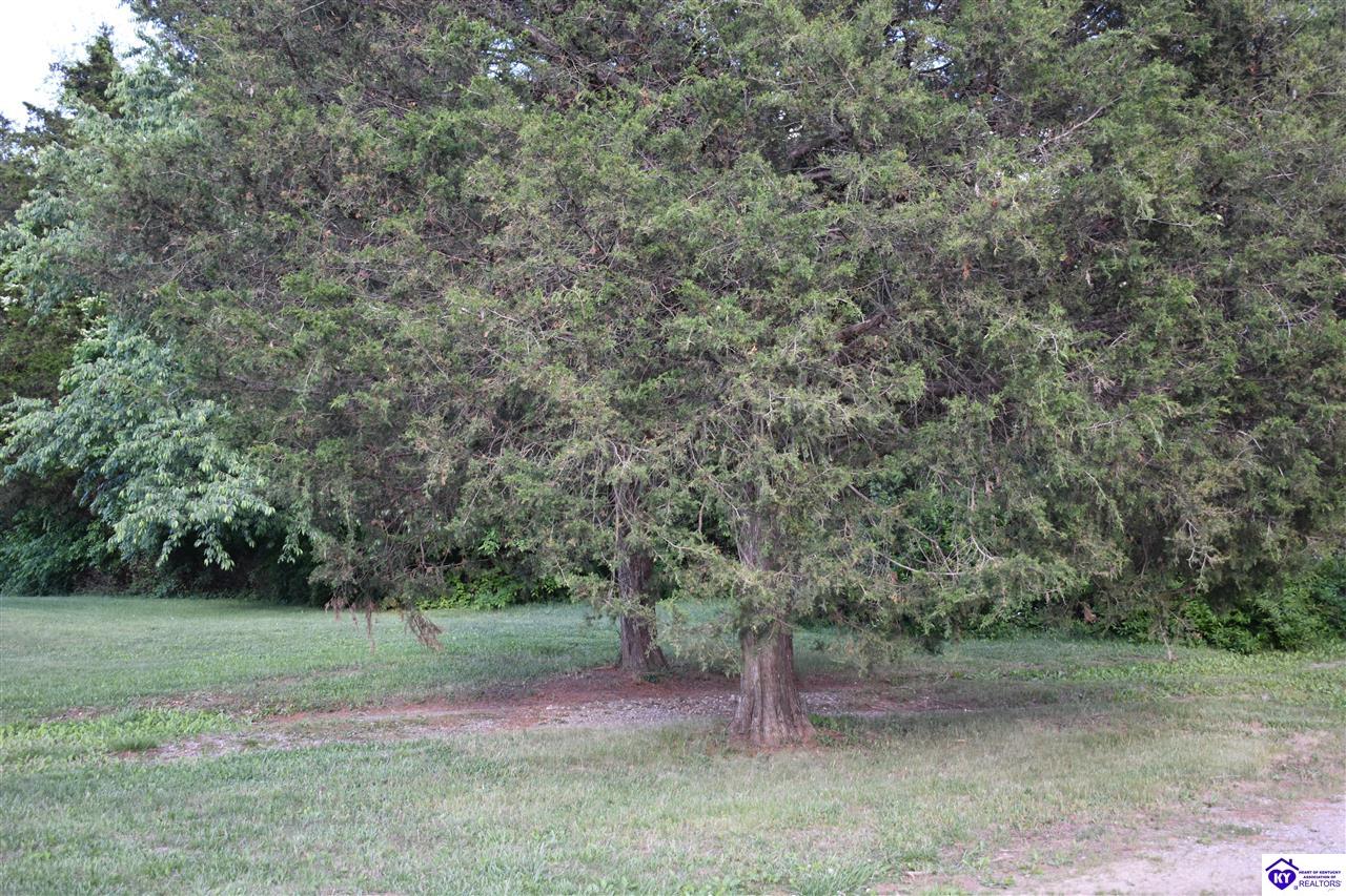 398 Guy Court Property Photo 32