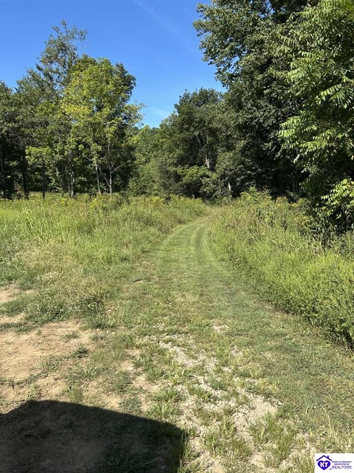 1505 Jarboe Sinks Road Property Photo 13
