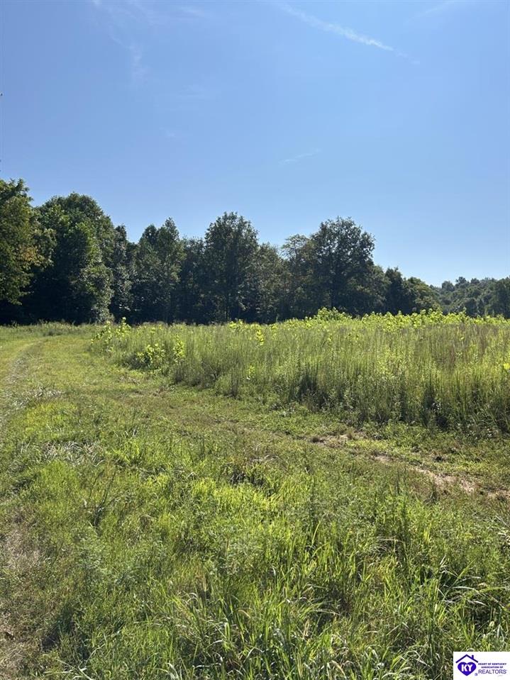 1505 Jarboe Sinks Road Property Photo 14