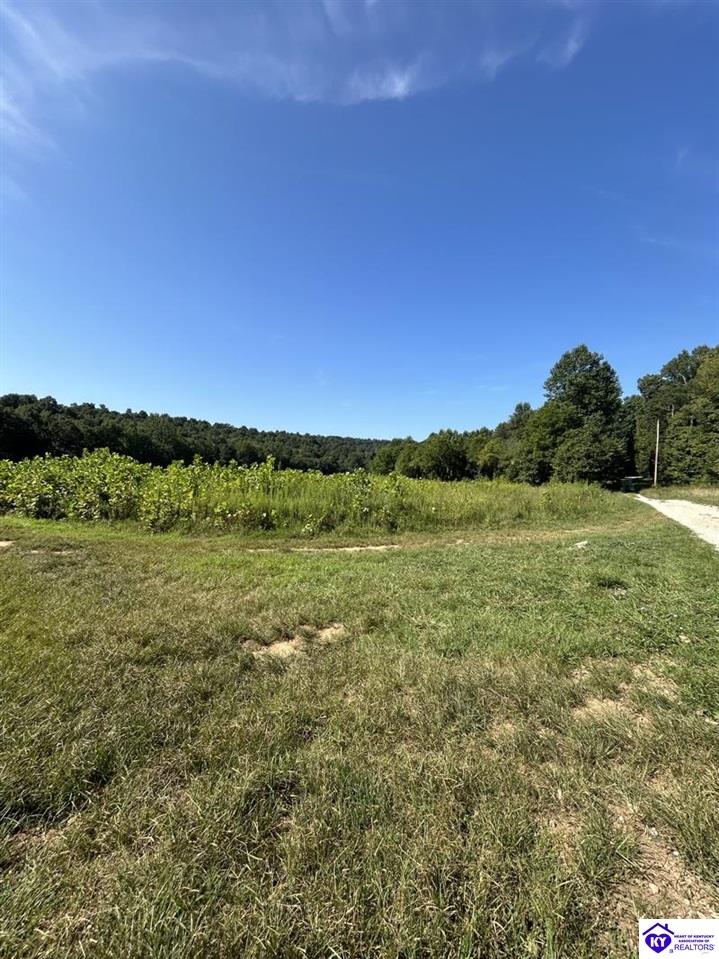 1505 Jarboe Sinks Road Property Photo 15