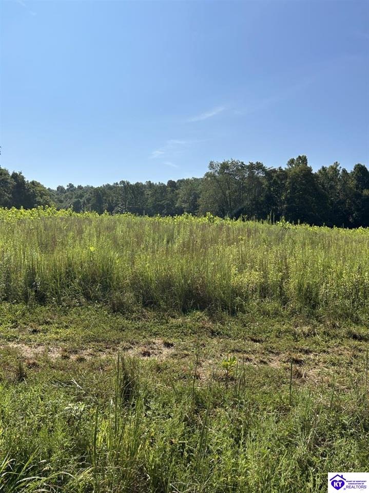 1505 Jarboe Sinks Road Property Photo 16