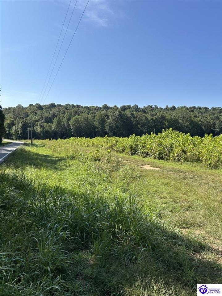 1505 Jarboe Sinks Road Property Photo 18