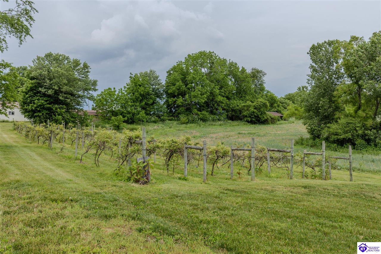 650 Midway Road Property Photo 77