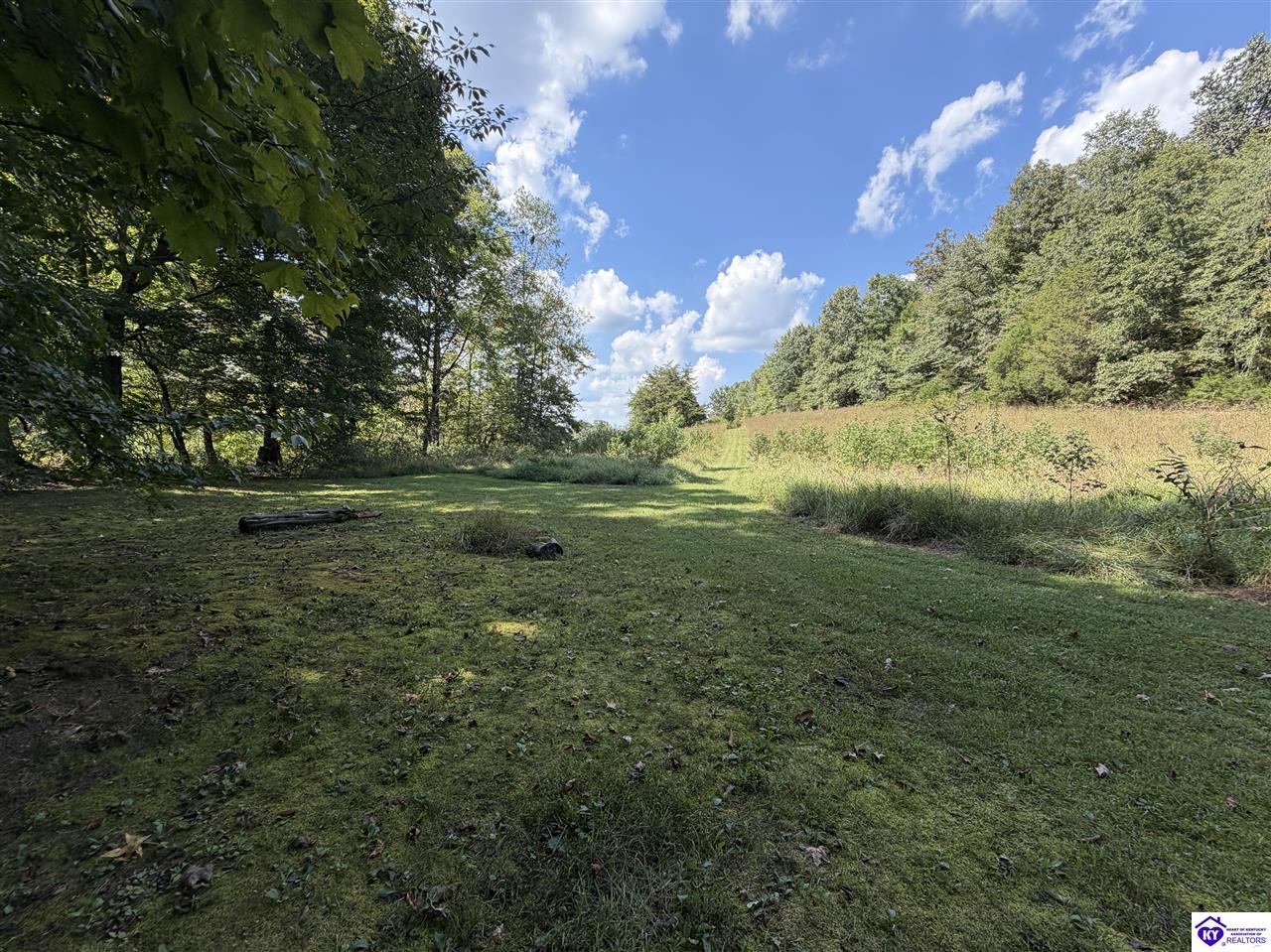 1813 Little Cake Road Property Photo 8