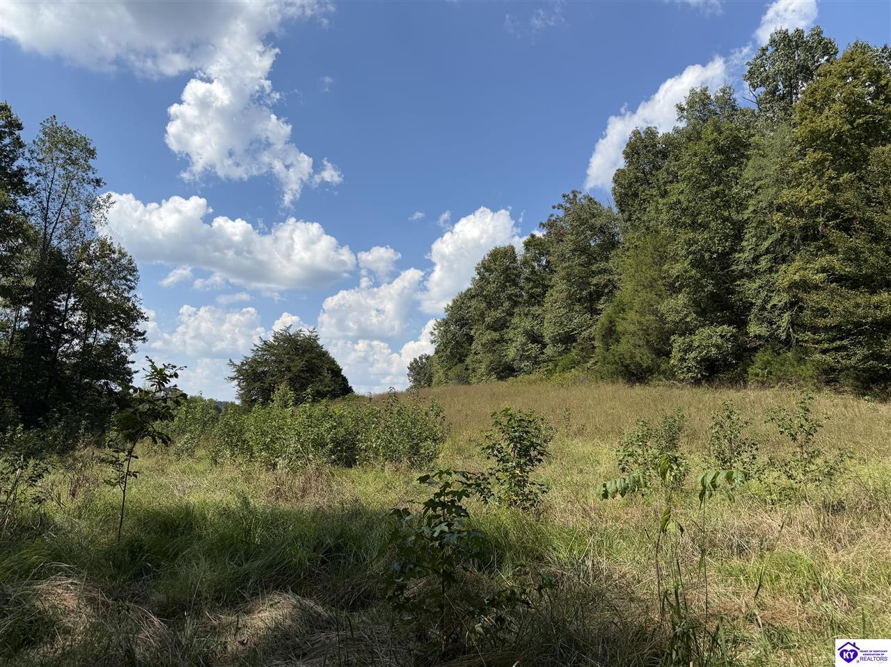 1813 Little Cake Road Property Photo 11