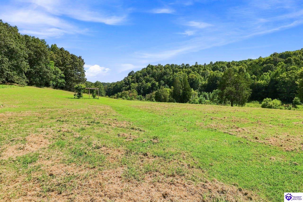 1813 Little Cake Road Property Photo 54