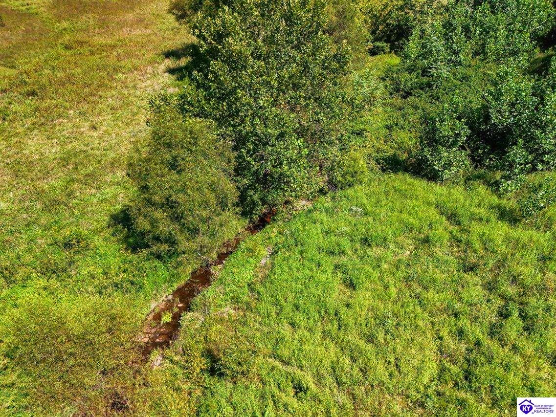 1813 Little Cake Road Property Photo 55