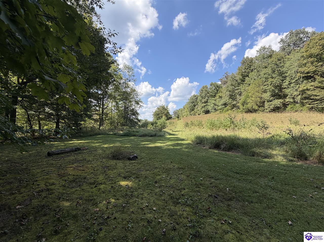 1813 Little Cake Road Property Photo 58