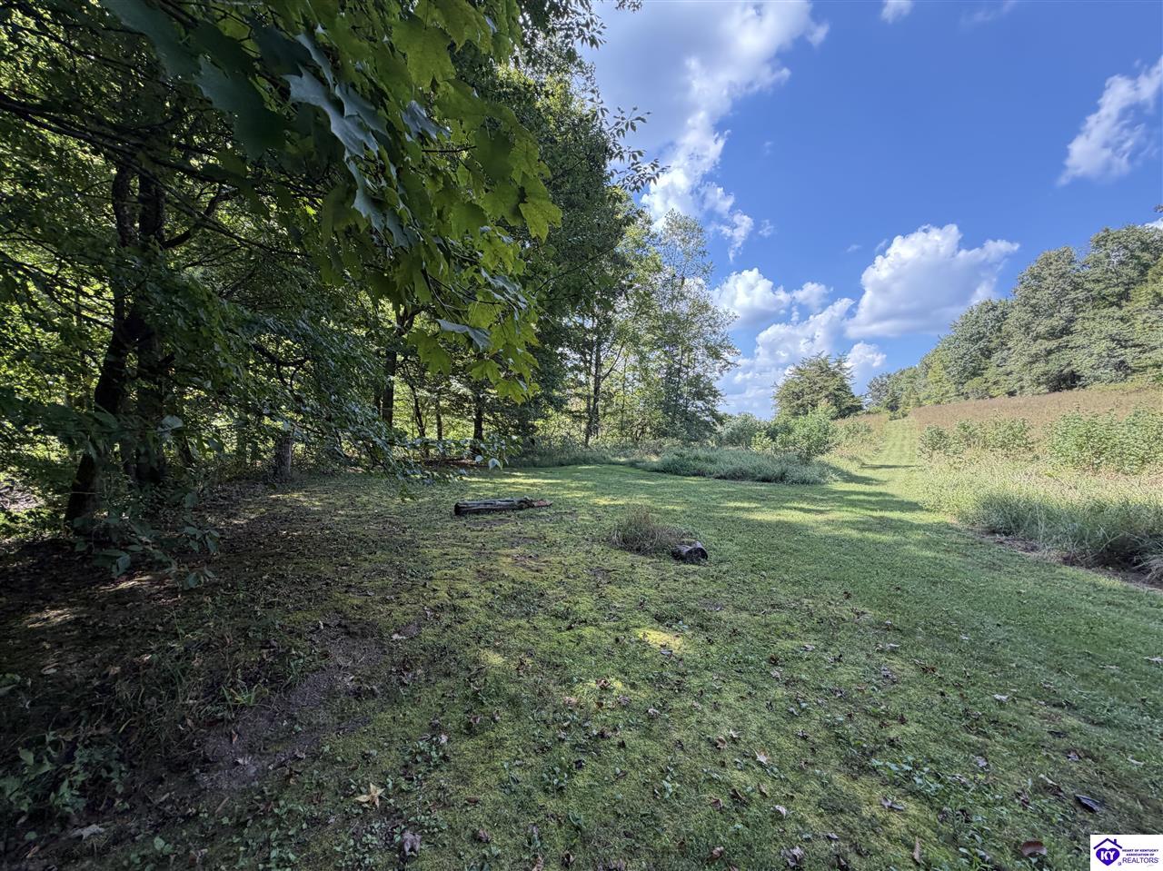 1813 Little Cake Road Property Photo 59