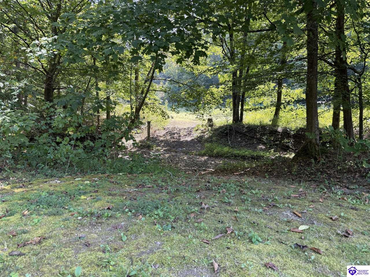 1813 Little Cake Road Property Photo 60