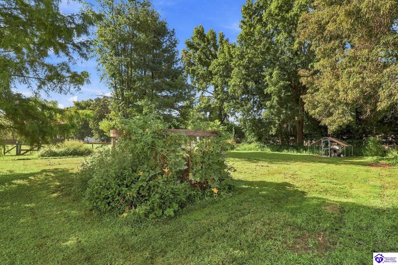 115 Janets Drive Property Photo 38
