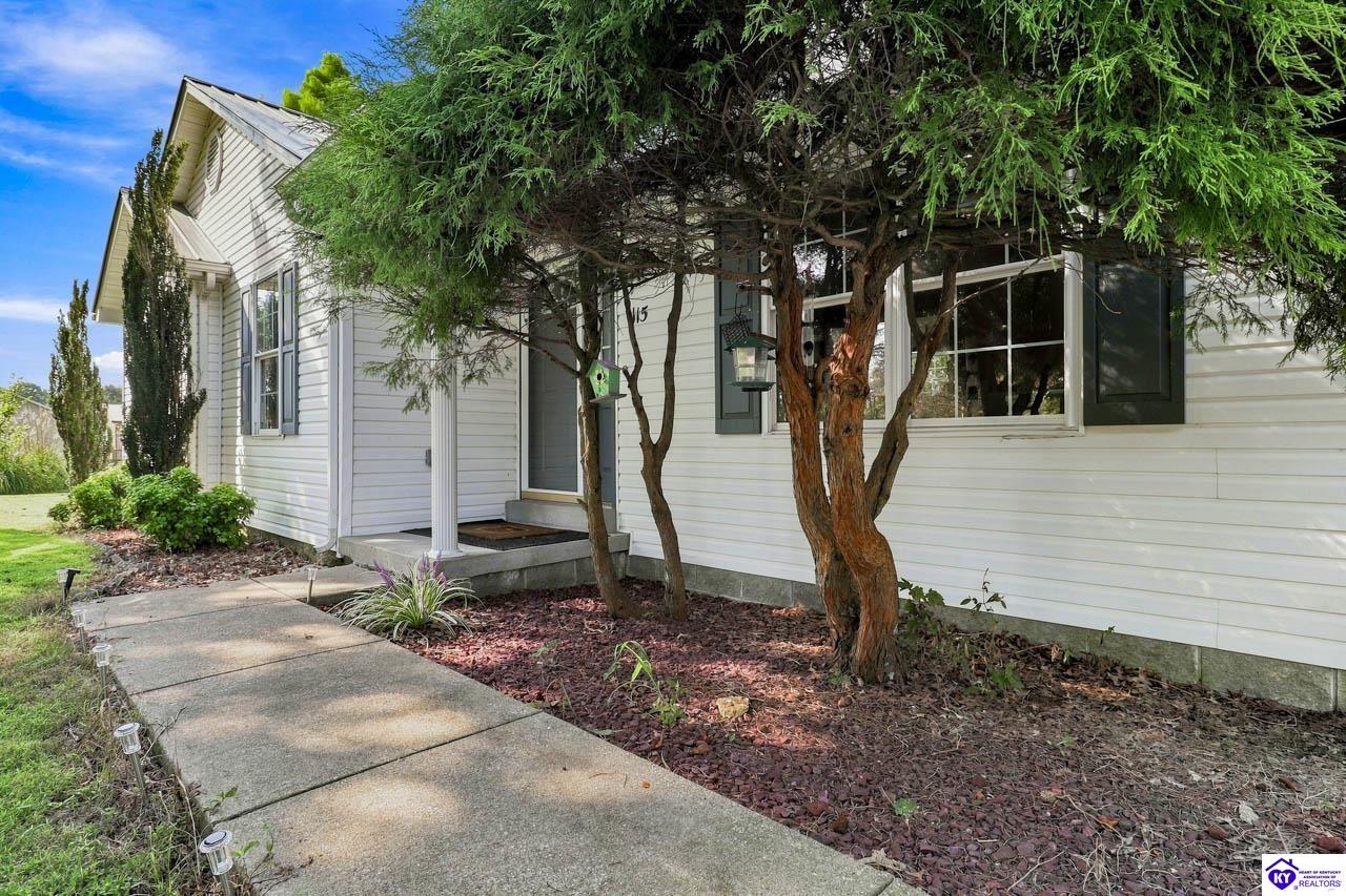 115 Janets Drive Property Photo 43