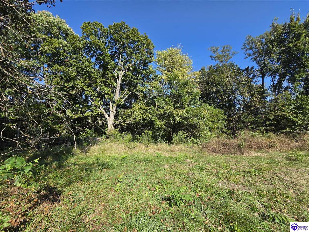 4207 Hardinsburg Road Property Photo 19