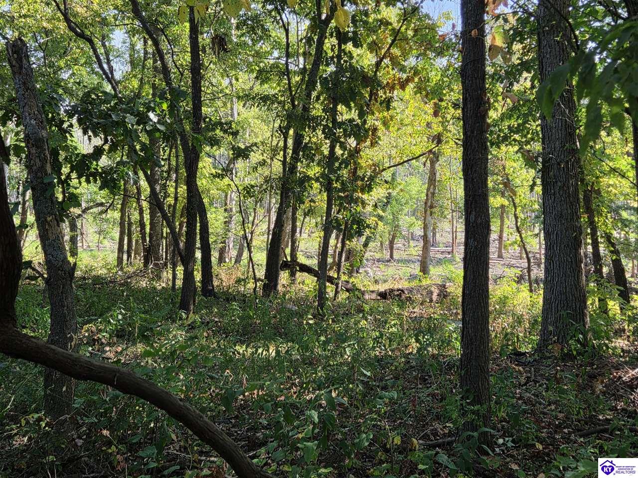 4207 Hardinsburg Road Property Photo 20