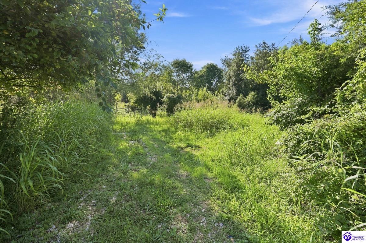 380 Ater Heights Road Property Photo 3