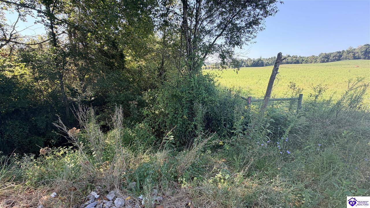 Lot 2b-14153 St John Road Property Photo 2