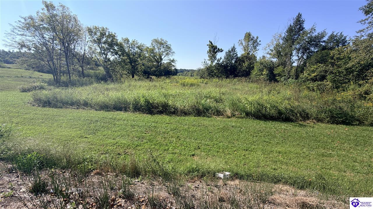 Lot 2b-14153 St John Road Property Photo 3