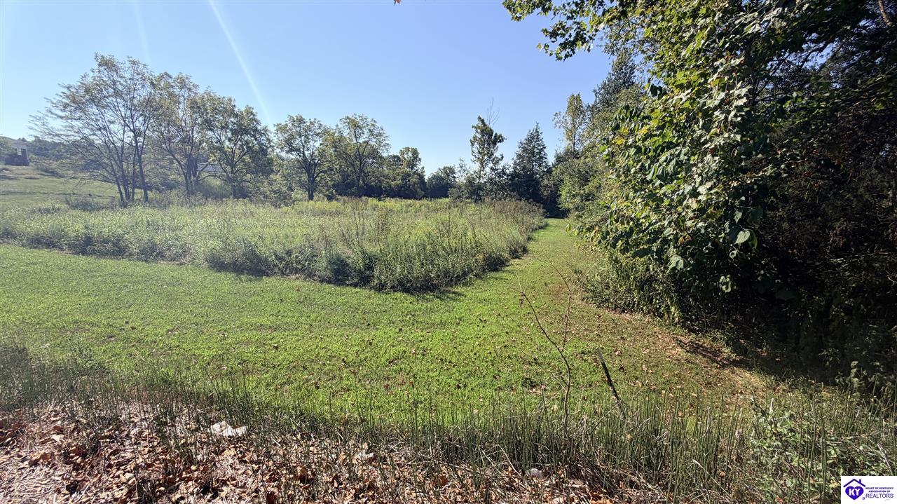 Lot 2b-14153 St John Road Property Photo 4