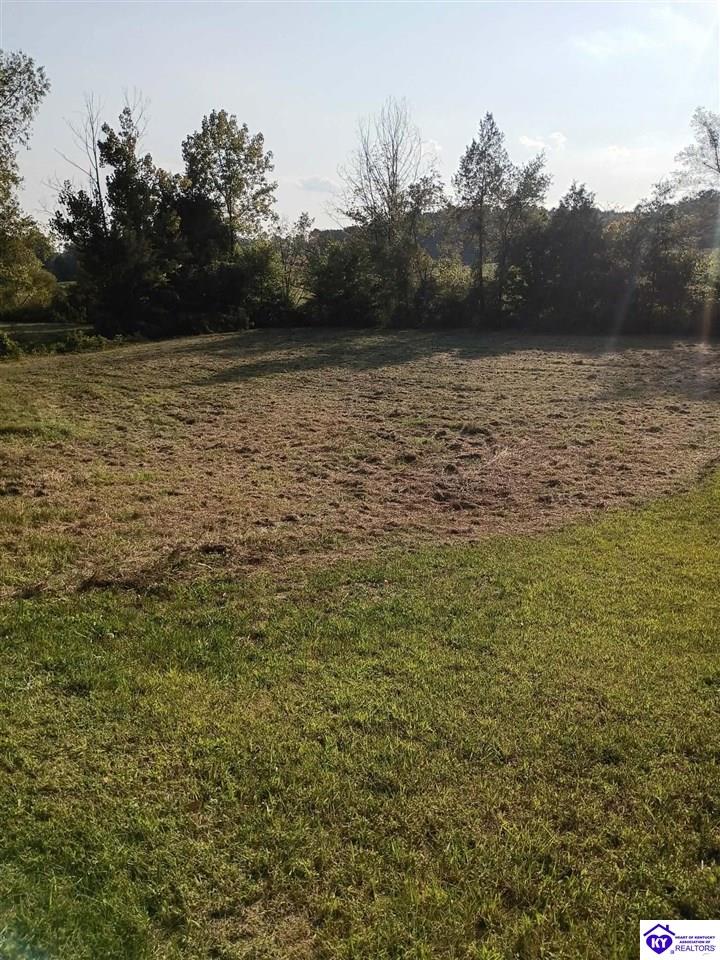 Lot 2b-14153 St John Road Property Photo 9