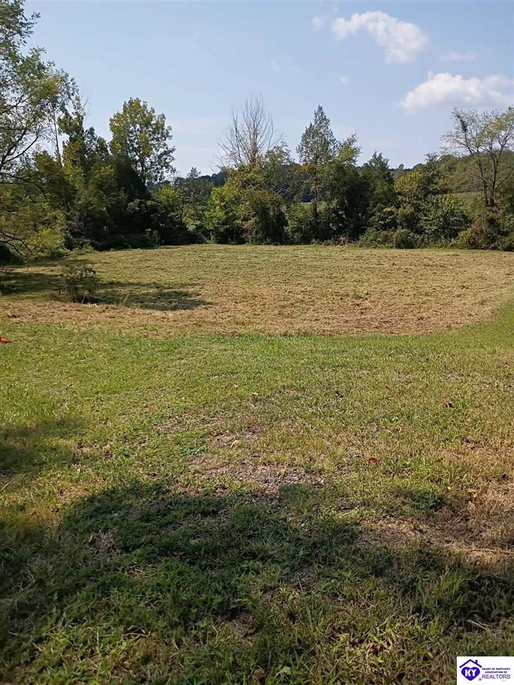 Lot 2b-14153 St John Road Property Photo 10