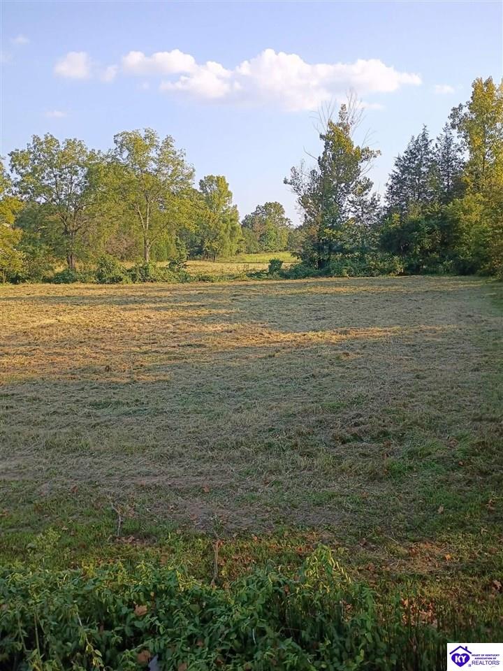 Lot 2b-14153 St John Road Property Photo 12