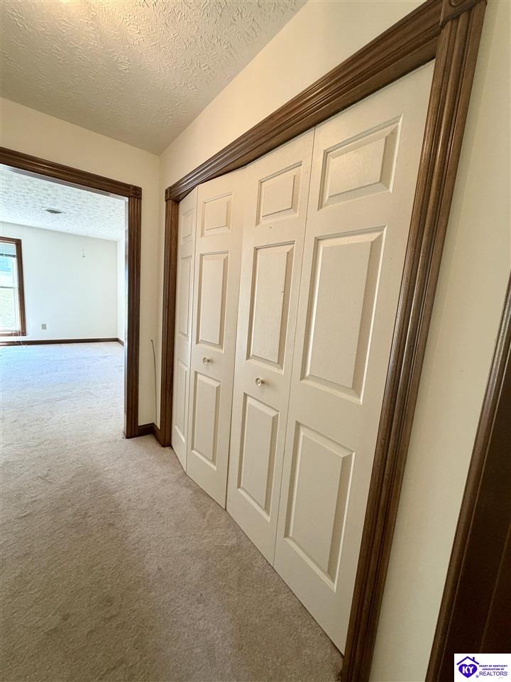 227 Collins Drive Property Photo 25