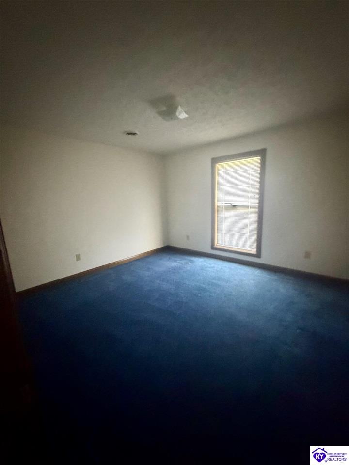 227 Collins Drive Property Photo 36