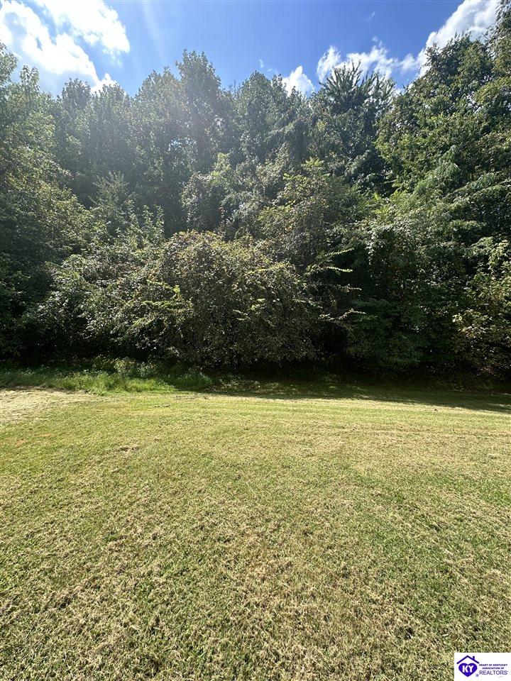 708 Clear Spring Court Property Photo 6