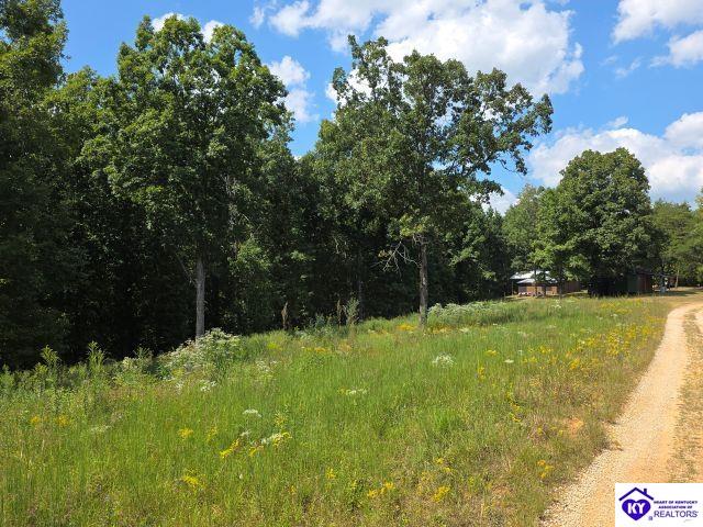 Trace 23 & 24 Wheeler Road Property Photo 17