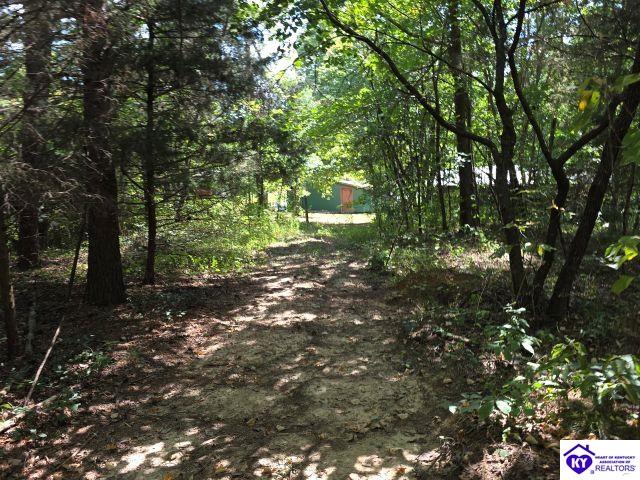 Trace 23 & 24 Wheeler Road Property Photo 18