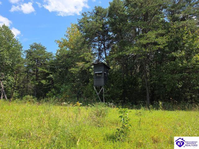 Trace 23 & 24 Wheeler Road Property Photo 21